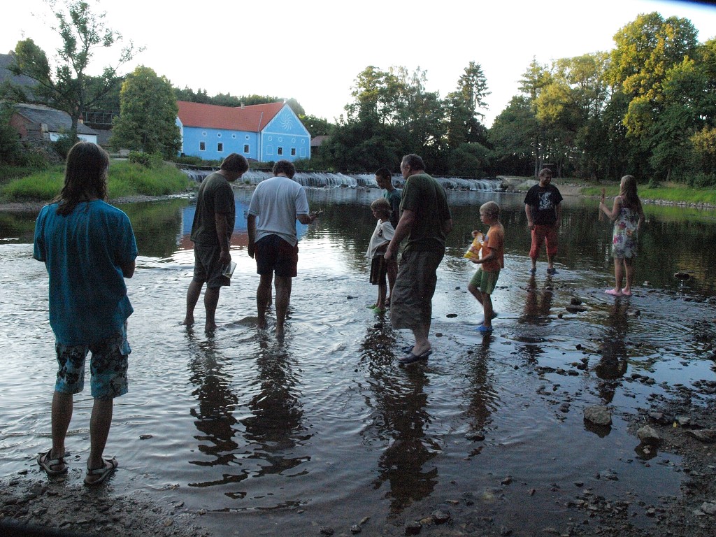 Apalucha 2011