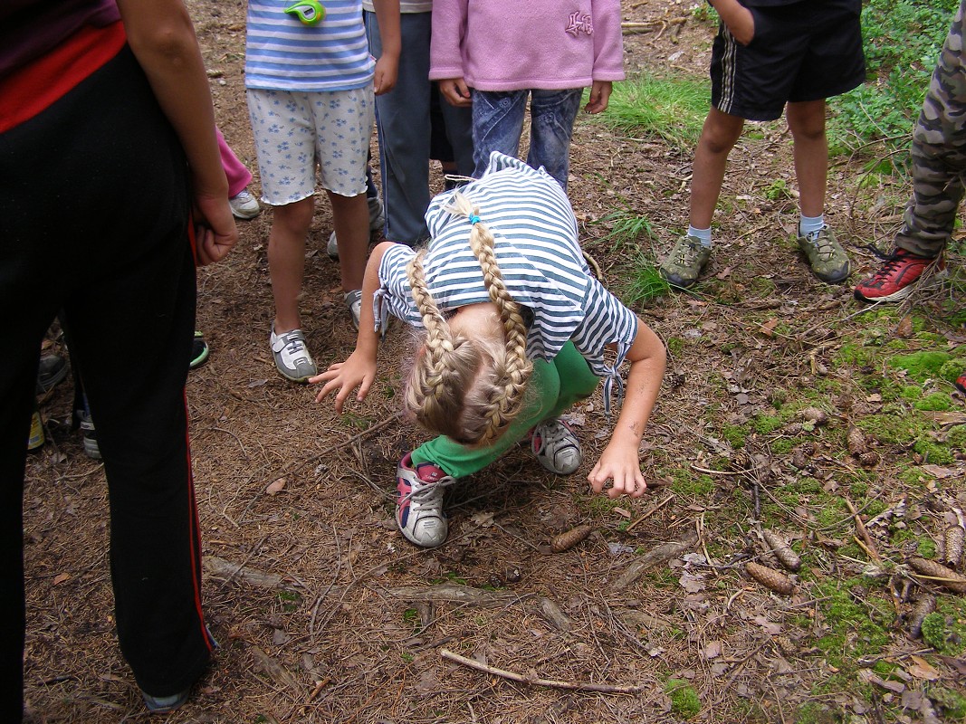 Apalucha 2006