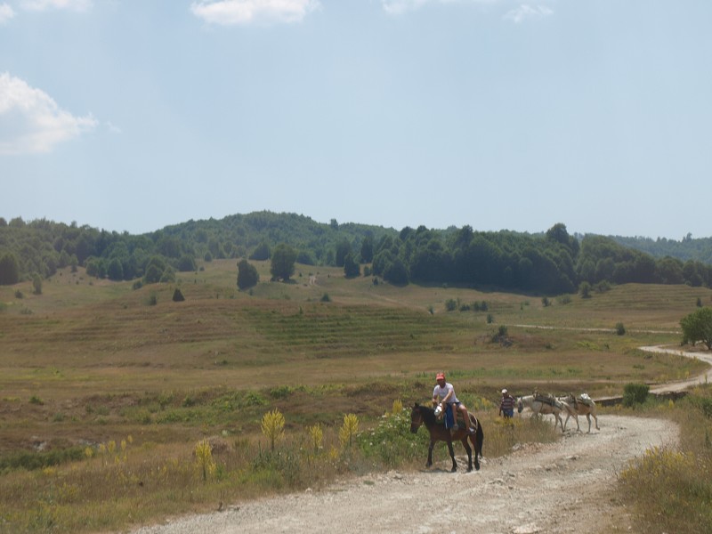 Albanie 2012