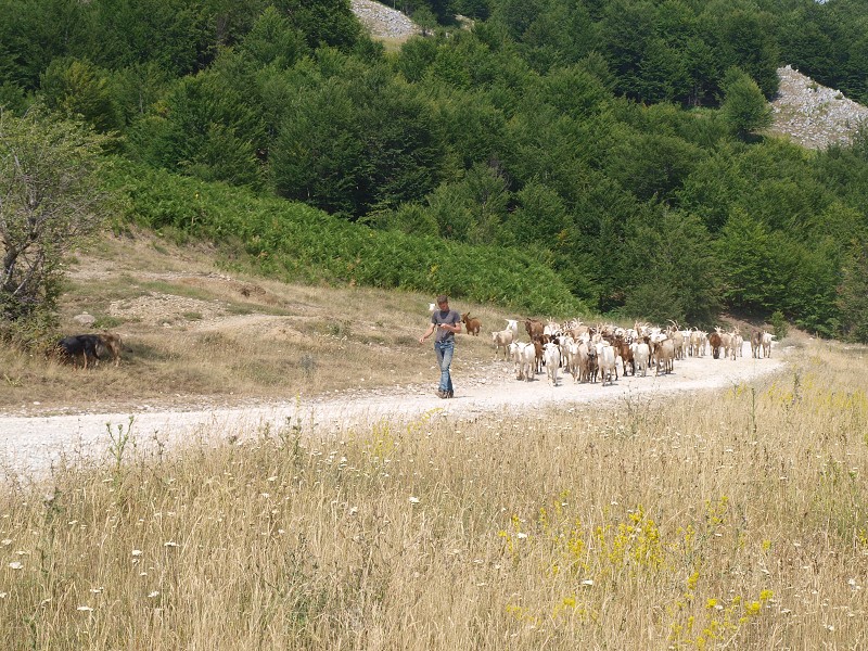 Albanie 2012