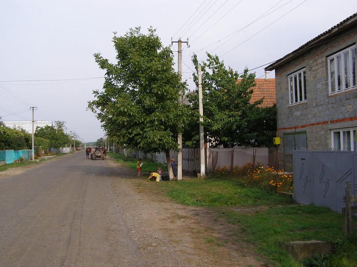 Ukrajina 2006