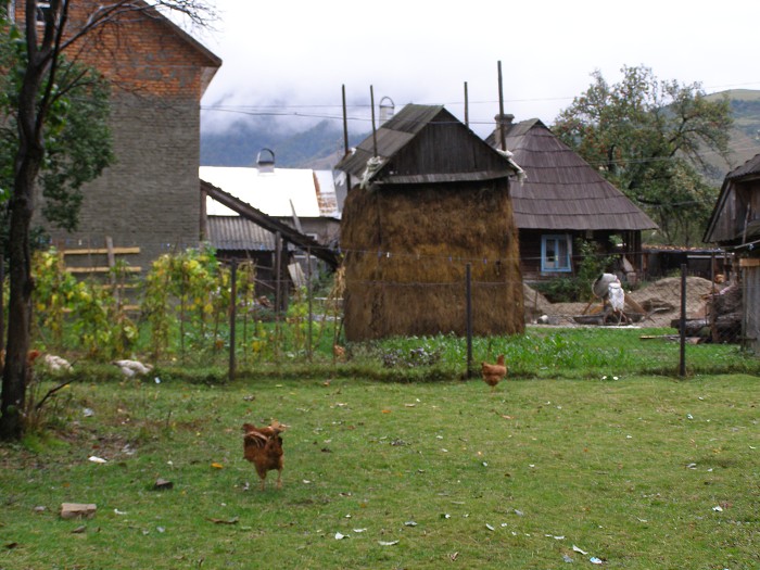 Ukrajina 2006