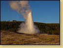 Old Faithful 