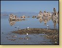 Mono Lake. 