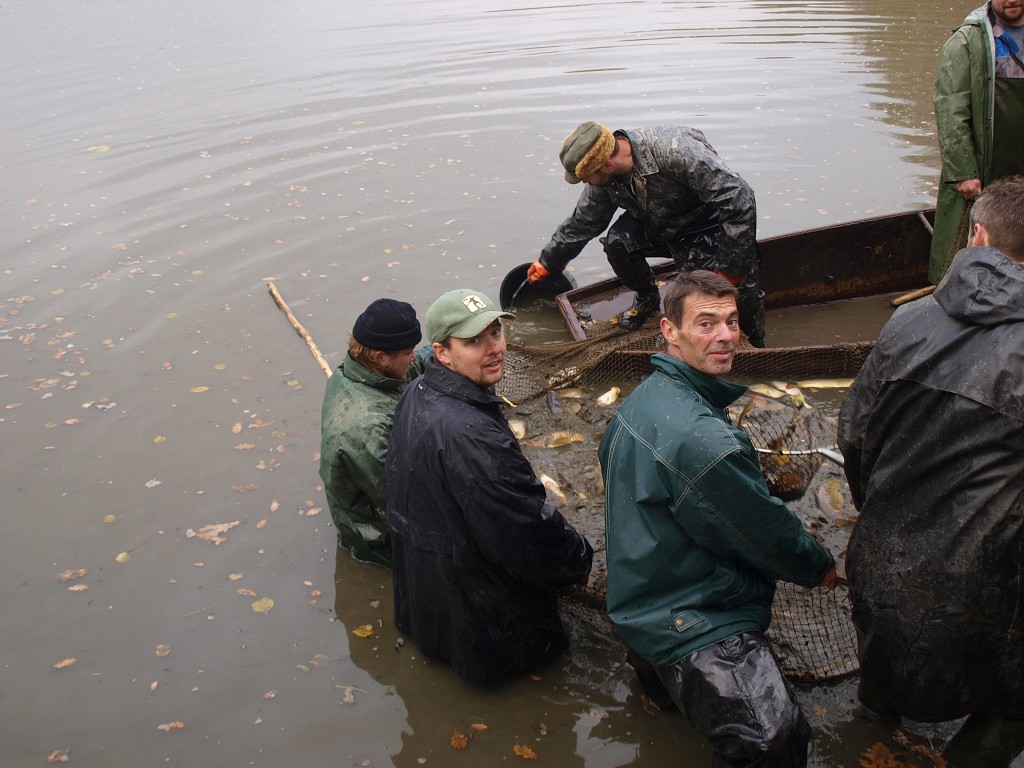 Výlov 2008