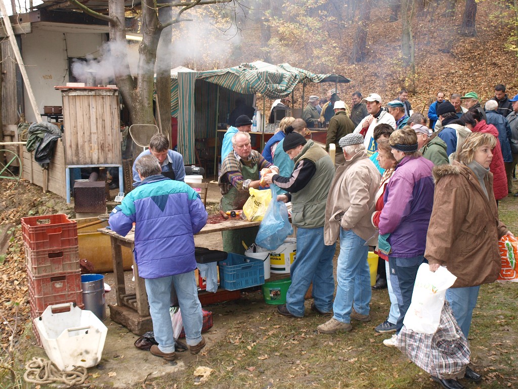 Výlov 2008